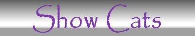 Show Cats